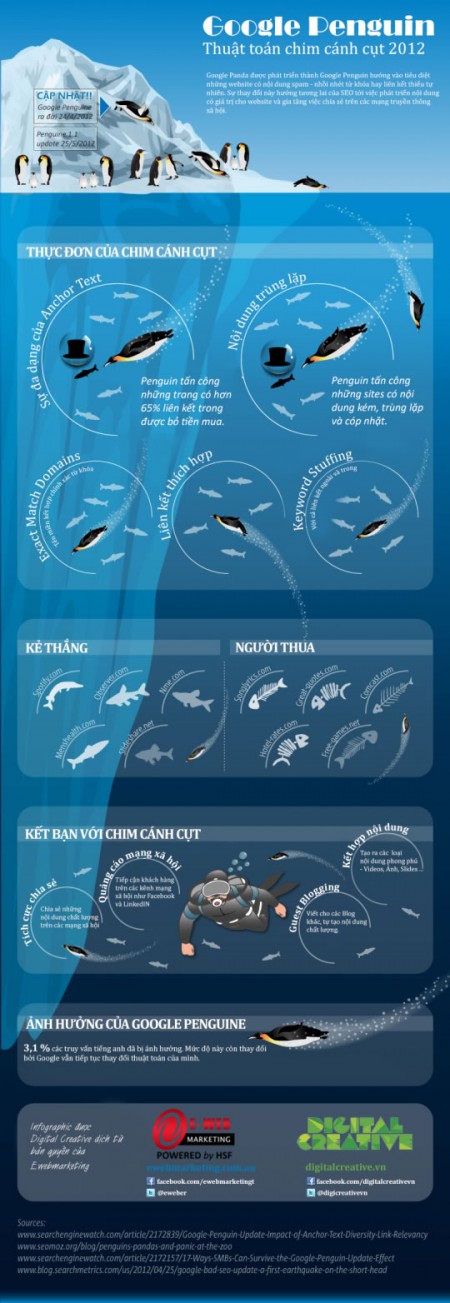 infographic thuật toán chim cánh cụt 2012