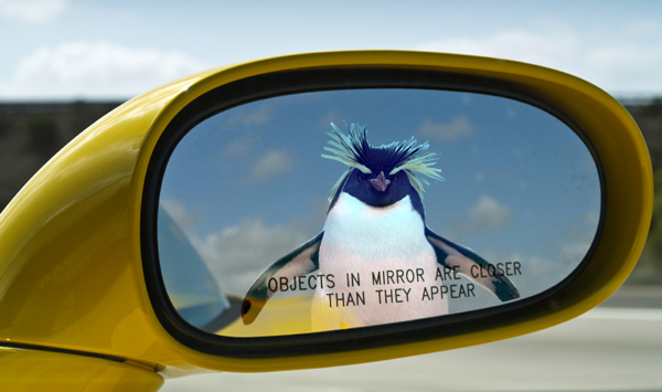 Google Penguin trong gương
