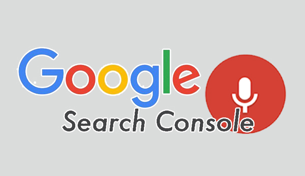 google-console-voice-search