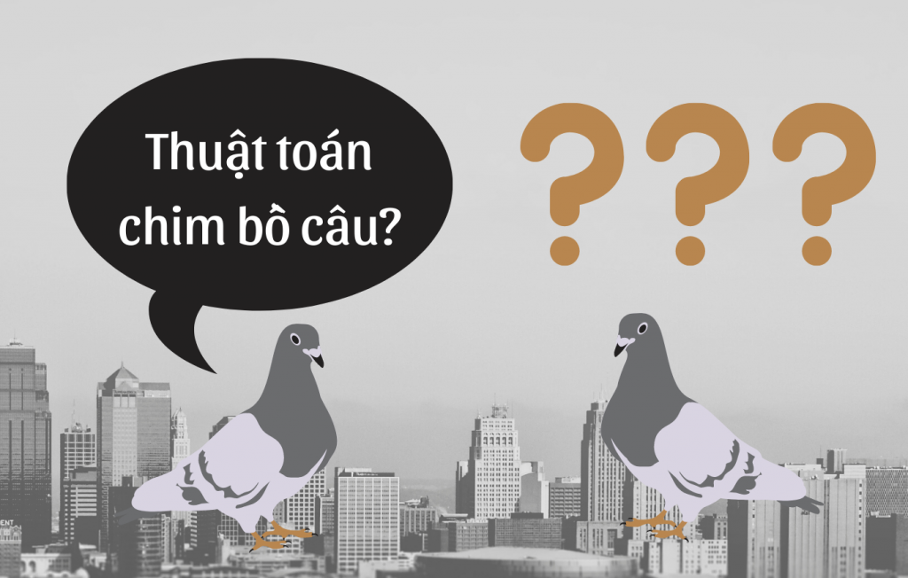 thuat toan chim bo cau la gi?